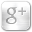 Google+ icon